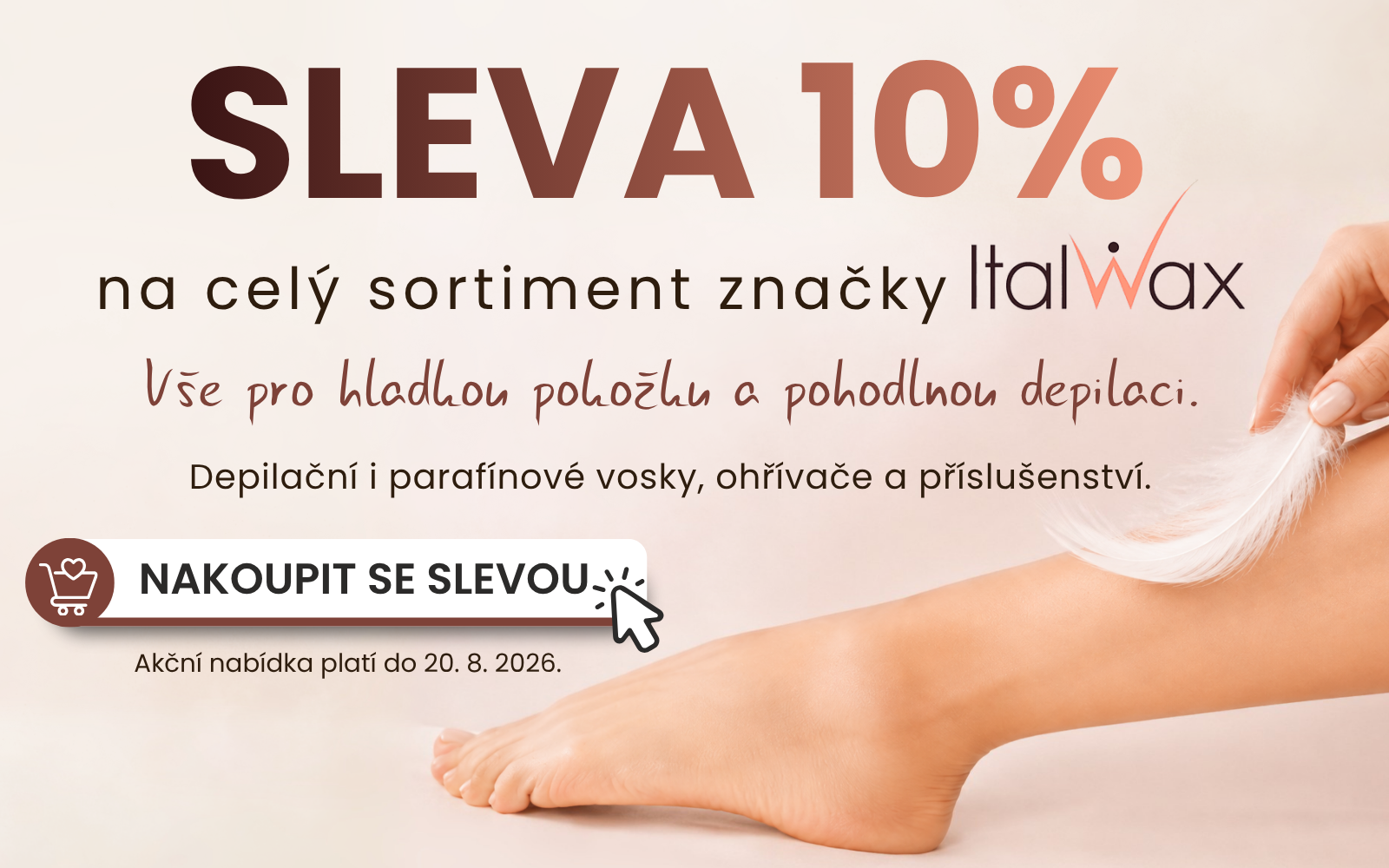 Akční nabídka